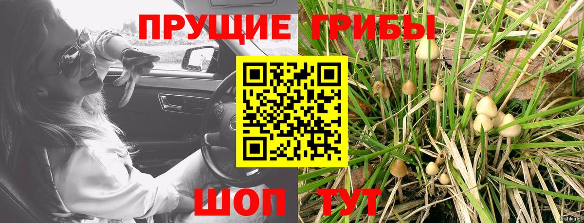 Железногорск  где купить наркоту  Вход с VPN  Галлюциногенные грибы GOLDEN TEACHER 